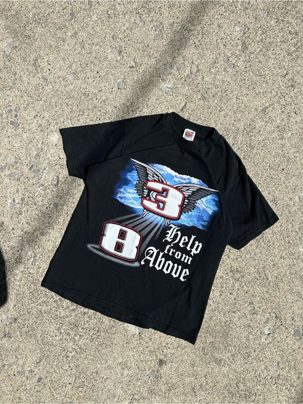 Fruit of the Loom Black Short-Sleeve Tee with Blue and White Wing Graphic